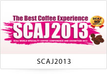 SCAJ2013